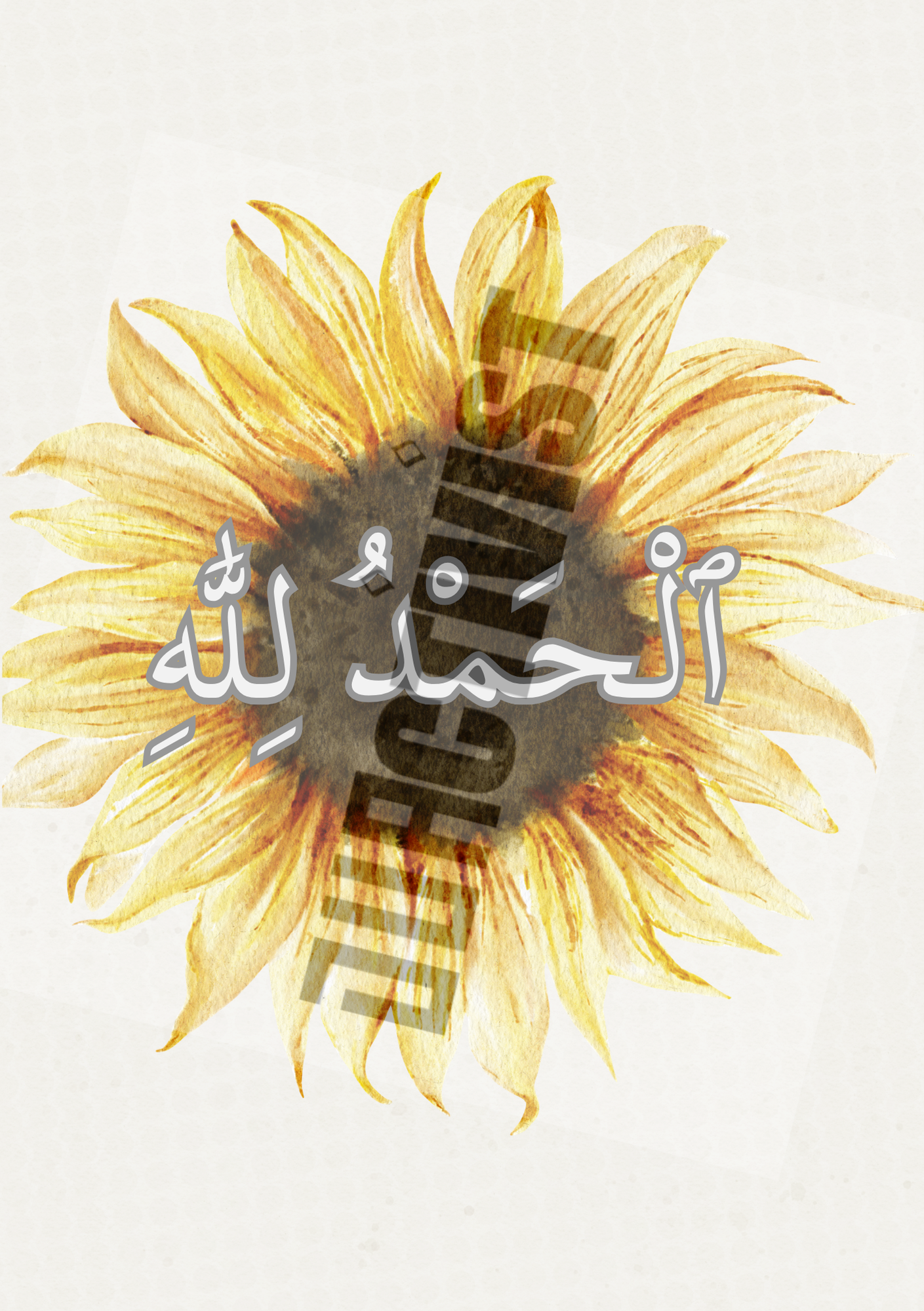 Duactivist Dhikr Collections