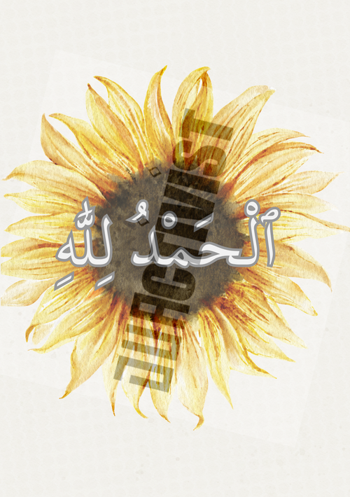 Duactivist Dhikr Collections