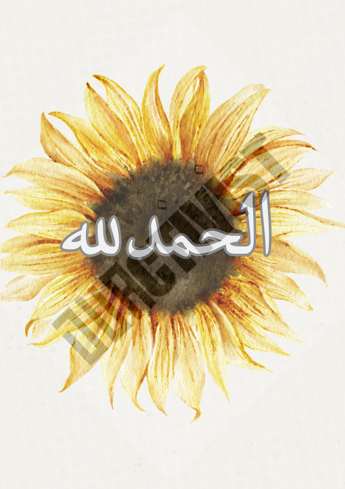 Duactivist Dhikr Collections