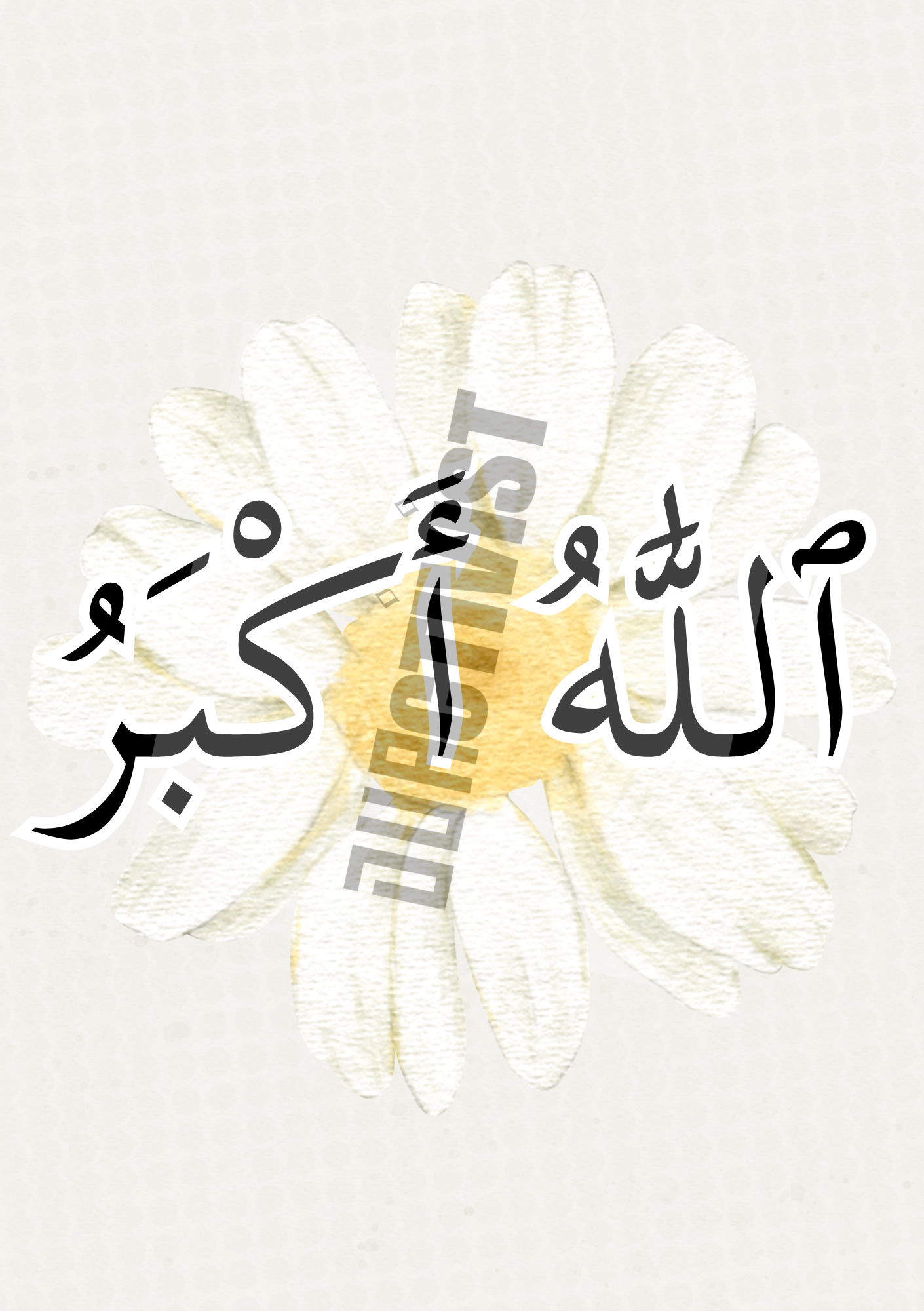 Duactivist Dhikr Collections