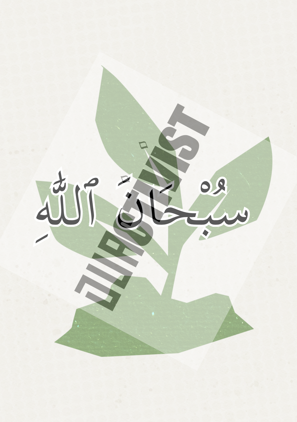 Duactivist Dhikr Collections